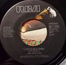 7inch Vinyl Single - Jim Reeves - Little Ole Dime