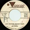 7inch Vinyl Single - Jim White - Just Another Broken Heart