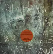 Double LP - Jim White - Drill A Hole In That Substrate And Tell Me What You See - 20th Anniversary Edition