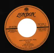 7inch Vinyl Single - Jimi Hendrix - How Would You Feel