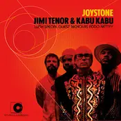 Jimi Tenor - Joystone