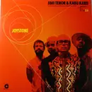Double LP - Jimi Tenor & Kabu Kabu - Joystone