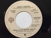 Jimmi Cannon - Whole Lot Of Cheatin' Goin' On
