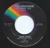 7inch Vinyl Single - Jimmie Peters - The Danger Zone - Promo Copy