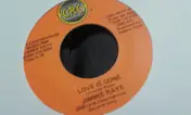 Jimmie Raye - Love Is Gone