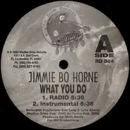 Jimmie Bo Horne, Jimmy 'Bo' Horne - What You Do