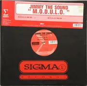 12inch Vinyl Single - Jimmy The Sound - M.O.D.U.L.O.