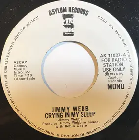 Jimmy Webb - Crying In My Sleep