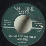 Jimmy Witter - What Are Little Girls Made Of / My Kind Of Woman