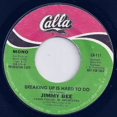 Jimmy Bee - Breaking Up Is Hard To Do
