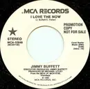 7inch Vinyl Single - Jimmy Buffett - I Love The Now