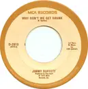7inch Vinyl Single - Jimmy Buffett - Why Don't We Get Drunk / The Great Filling Station Holdup