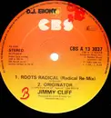 12inch Vinyl Single - Jimmy Cliff - Love Is All / Roots Radical