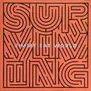 LP - Jimmy Eat World - Surviving - Gatefold