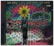 Jimmy Herring / T. Lavitz / Richie Hayward / Kenny Gradney - Endangered Species