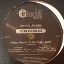 12inch Vinyl Single - Jimmy James - Who Wants To Be Your Lover