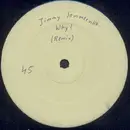12inch Vinyl Single - Jimmy Somerville - Why? (Remix) - White Label