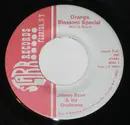 7inch Vinyl Single - Jimmy Sturr And His Orchestra - Orange Blossom Special / Tennessee Waltz