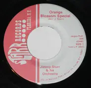 Jimmy Sturr And His Orchestra - Orange Blossom Special / Tennessee Waltz