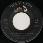 Jimmy Elledge - Can't You See It In My Eyes