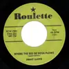7inch Vinyl Single - Jimmy Lloyd - Where The Rio De Rosa Flows - rare rockabilly