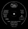12inch Vinyl Single - Jimmy Ross - First True Love Affair