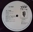 12inch Vinyl Single - Jill Rabbit - Je T'Aime / Sexual Identity