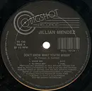 12inch Vinyl Single - Jillian Mendez - Don't Know What You're Missin' - Still Sealed