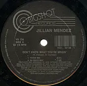 Jillian Mendez - Don't Know What You're Missin'