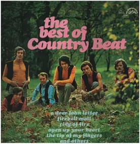 Jiri Brabec and his Country Beat - The Best of Country Beat