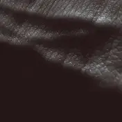 JK FLESH - Posthuman
