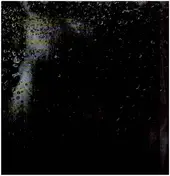 Jon Gaiser - Blank Fade