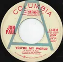 7inch Vinyl Single - Jon Paul - You're My World