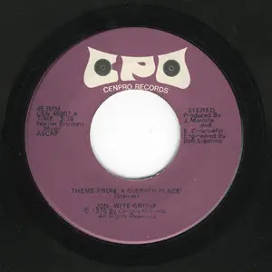 Jon Wite Group - Theme From A Summer Place