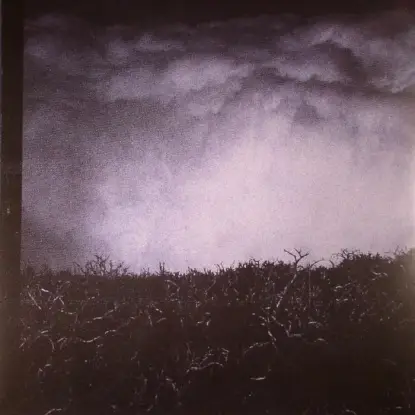 Jonas Kopp - Beyond the Hypnosis