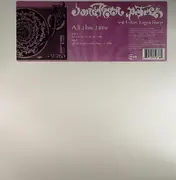 12inch Vinyl Single - Jonathan Peters - All This Time