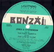 12inch Vinyl Single - Jones & Stephenson - The First Rebirth