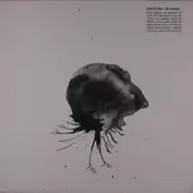 Jónsi & Alex