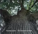 CD - Joachim Goerke - The Lonesome Old Tree