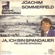 Joachim Sommerfeld
