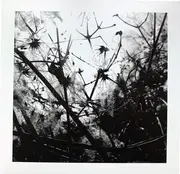LP - Joachim Spieth - Irradiance