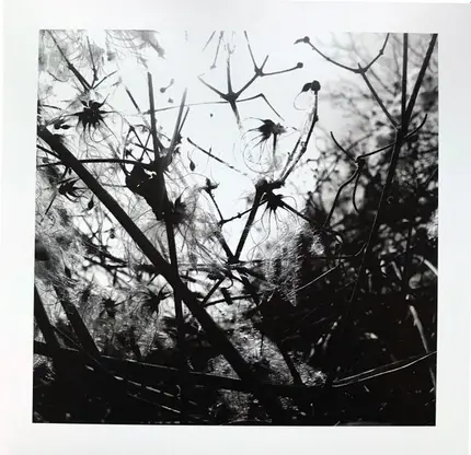 Joachim Spieth - Irradiance