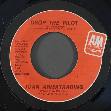 Joan Armatrading - Drop the Pilot