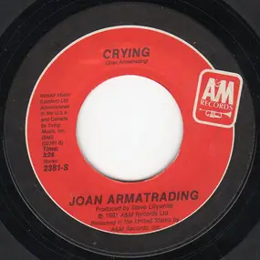 Joan Armatrading - I Wanna Hold You