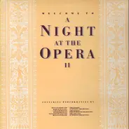 Tchaikovsky / Verdi / Puccini a.o. - Welcome To A Night At The Opera II