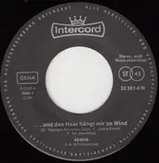 7inch Vinyl Single - Joana - ...Und Das Haar Hängt Mir Im Wind
