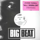 12inch Vinyl Single - Joanne Farrell - All I Wanna Do
