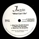 12inch Vinyl Single - Joaquim - What Can I Do / You Know