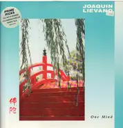 Joaquin Liévano - One Mind