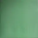2 x 12inch Vinyl Single - Jodie - Anything You Want